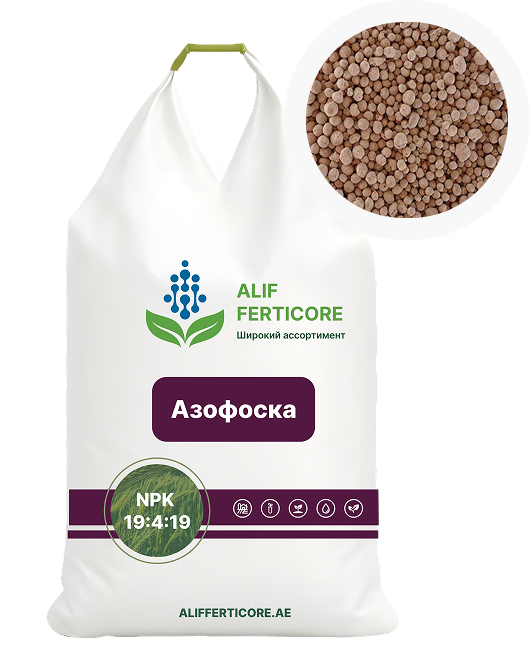 Азофоска NPK 19:4:19