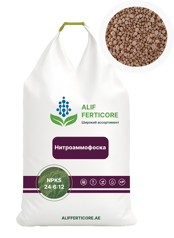 Нитроаммофоска NPKS 24:6:12
